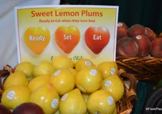 Sweet lemon plums from Chile on display at Jac. Vandenberg, Inc. Customers buy these sweet plums when yellow, but they are ready-to-eat once they've turned red.